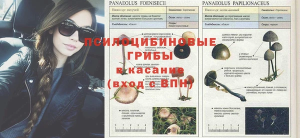СК Абдулино