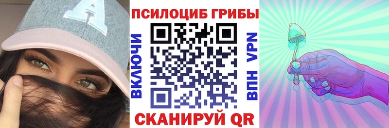дарнет шоп  Вышний Волочёк  Галлюциногенные грибы мицелий 